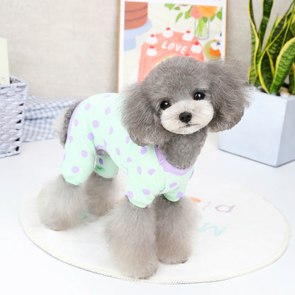 Spring & Summer Puppy Outfit