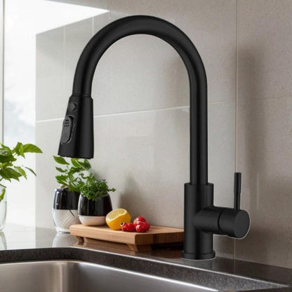 Kitchen Faucets Pull Down Sprayer