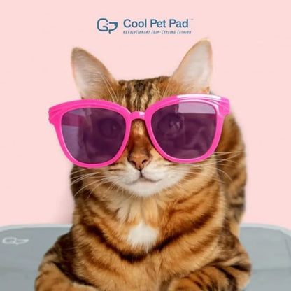Cooling Pet Mat / Calming Bed
