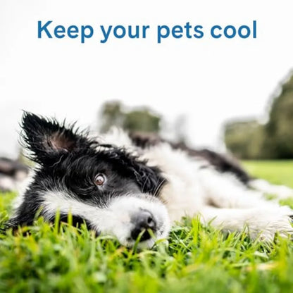 Cooling Pet Mat / Calming Bed