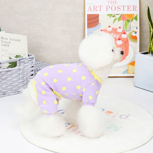 Spring & Summer Puppy Outfit
